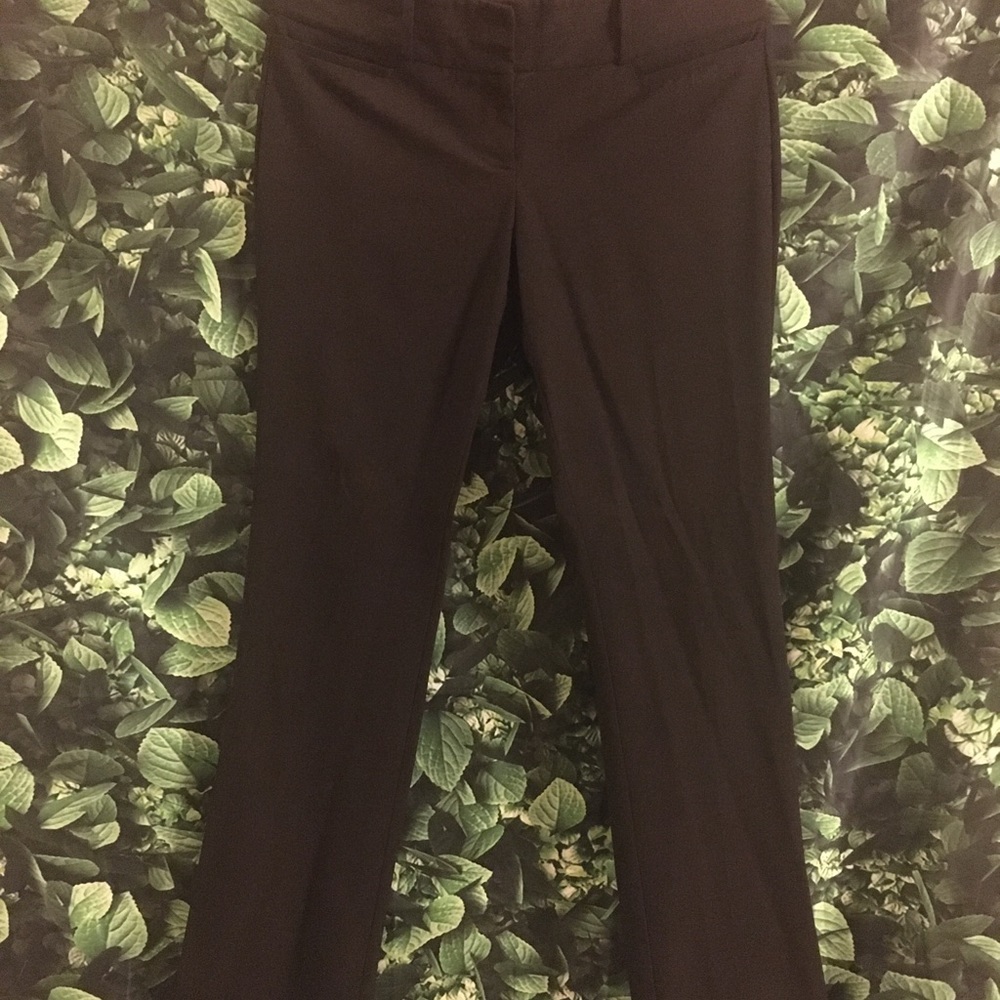 The Limited Brown Pants